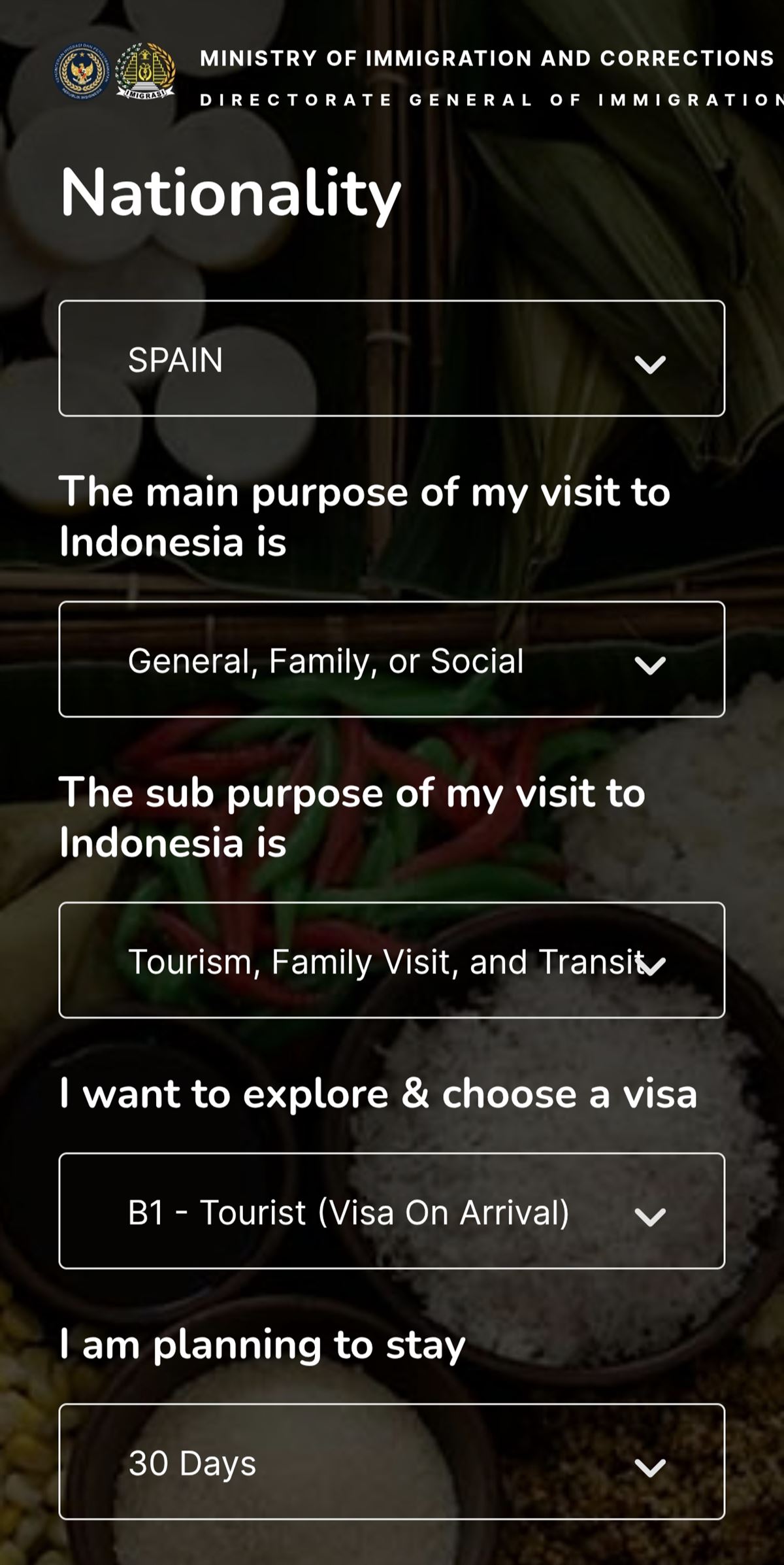 Ejemplo cómo rellenar Visa 30 días