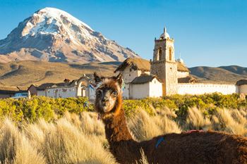 Grupos de WhatsApp de Bolivia