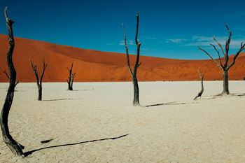 Grupos de WhatsApp de Namibia