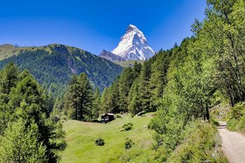 Grupos de WhatsApp de Suiza