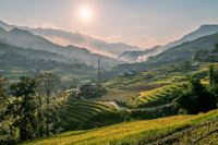 Sapa
