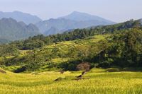 Guía para viajar a Mai Chau y Pu Luong
